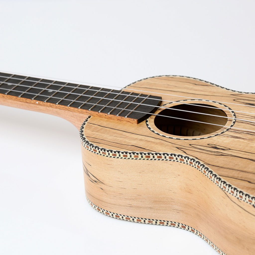 Snail UKC-490E Spalted Maple Concert Ukulele Including premium Snail Padded Gig Bag