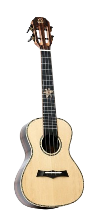 Adult Beginner Ukulele