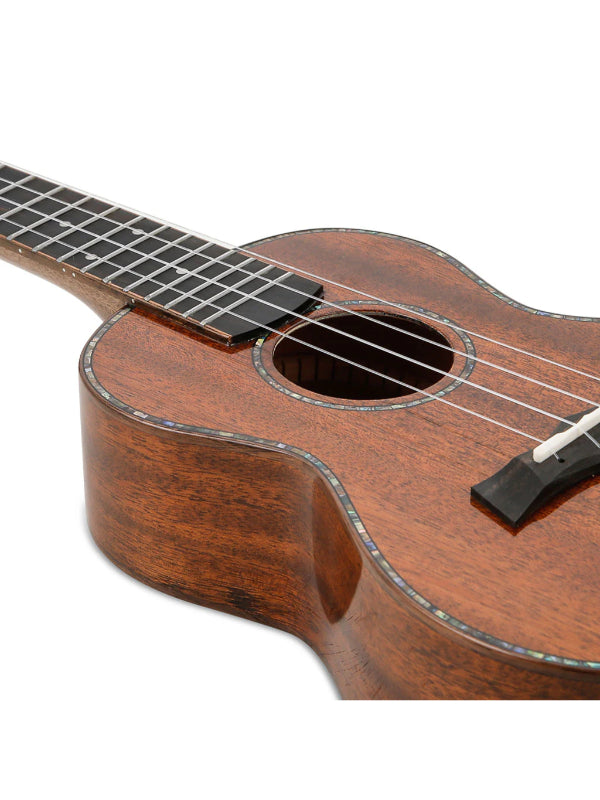 Snail RT-C Stained Mahogany Gloss Concert Ukulele