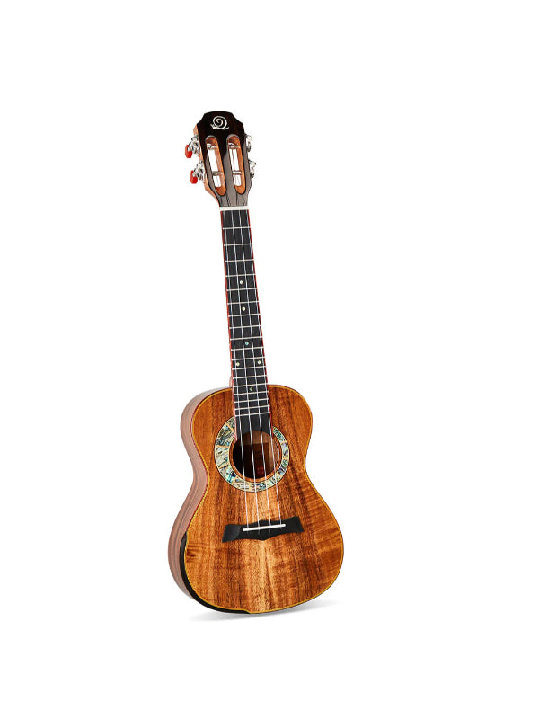 Snail S60C All Solid Flamed Acacia Concert Ukulele