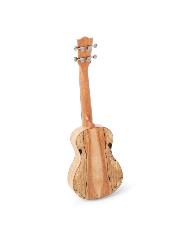 Snail UKC-380 Solid Spruce Top, Spalted maple back  Sides Concert Ukulele