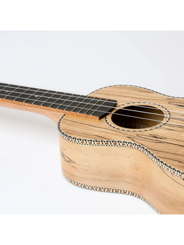 Snail UKC-490E Spalted Maple Concert Ukulele
