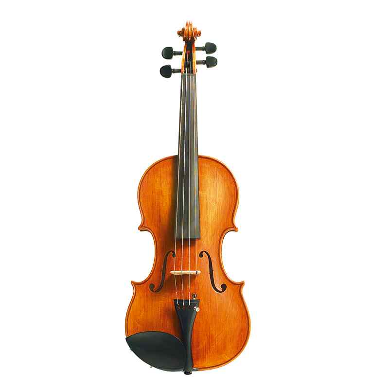 Stentor Amati model violin