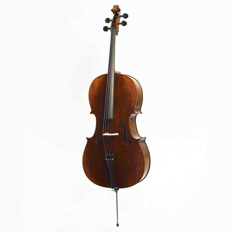 Stentor Arcadia cello