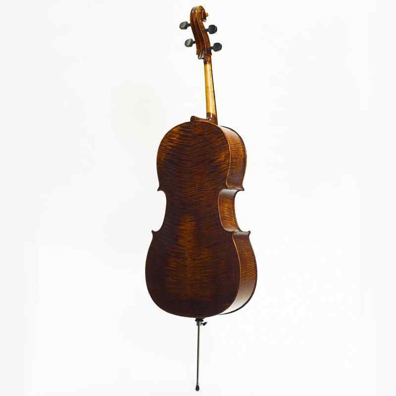 Stentor Arcadia cello