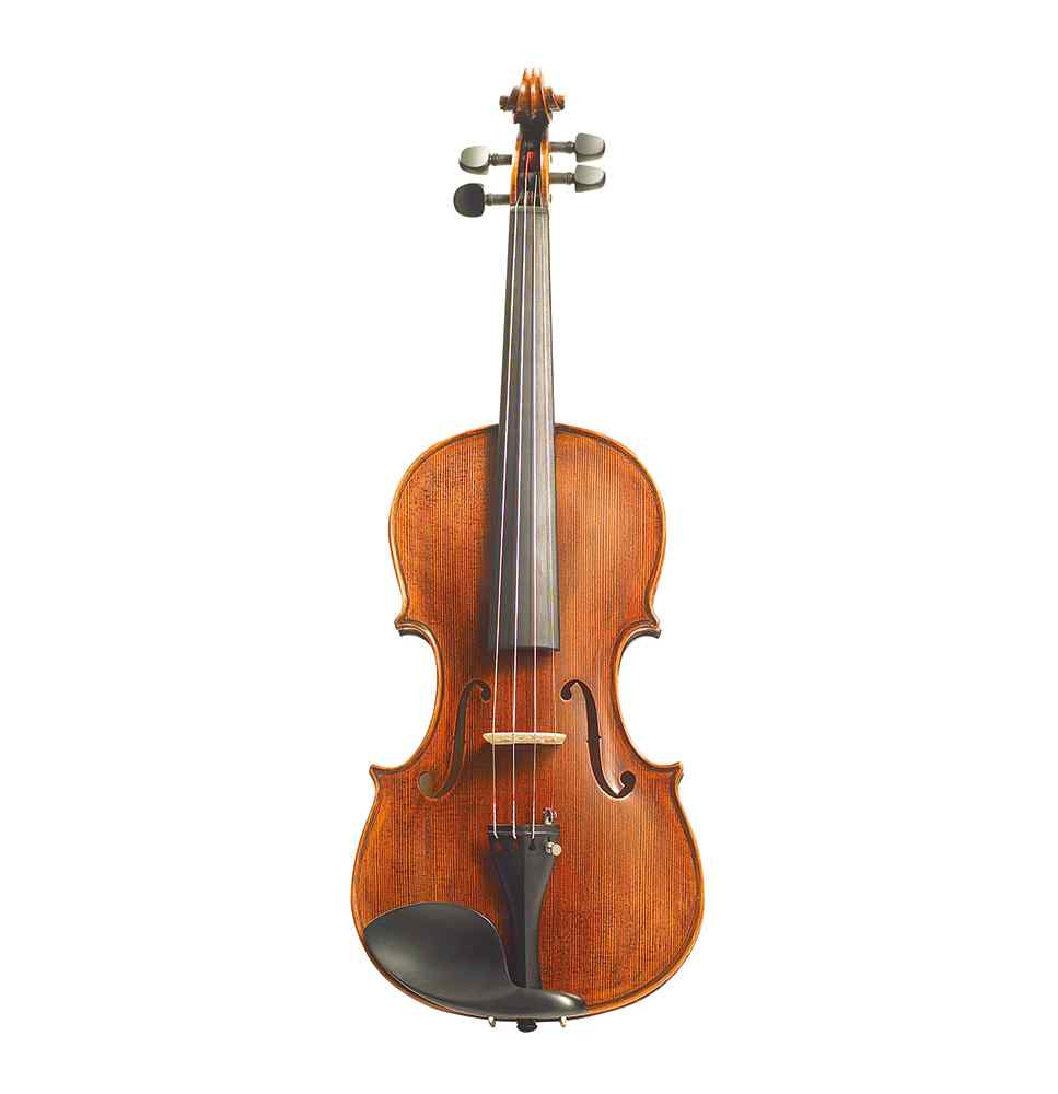 Stentor Arcadia violin