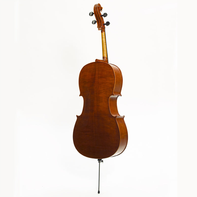 Stentor Elysia cello