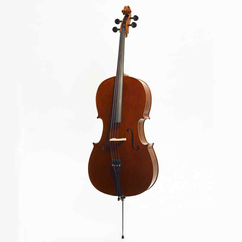 Stentor Elysia cello 'English model'