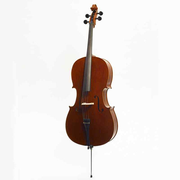 Stentor Elysia cello 'English model'