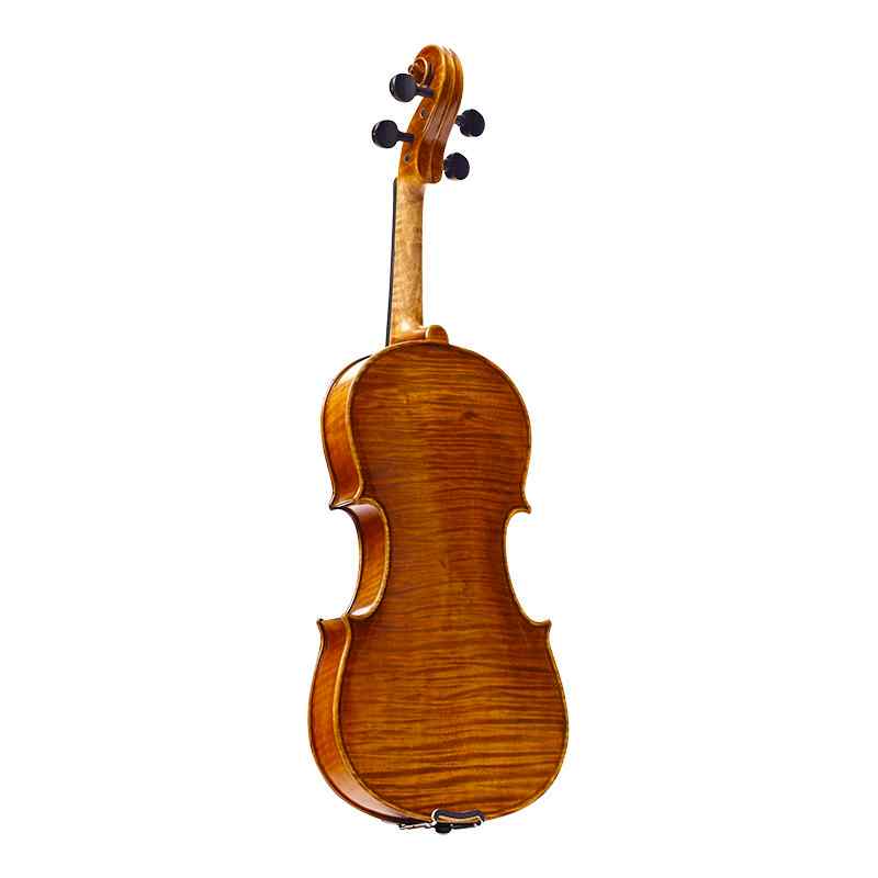 Stentor Master violin