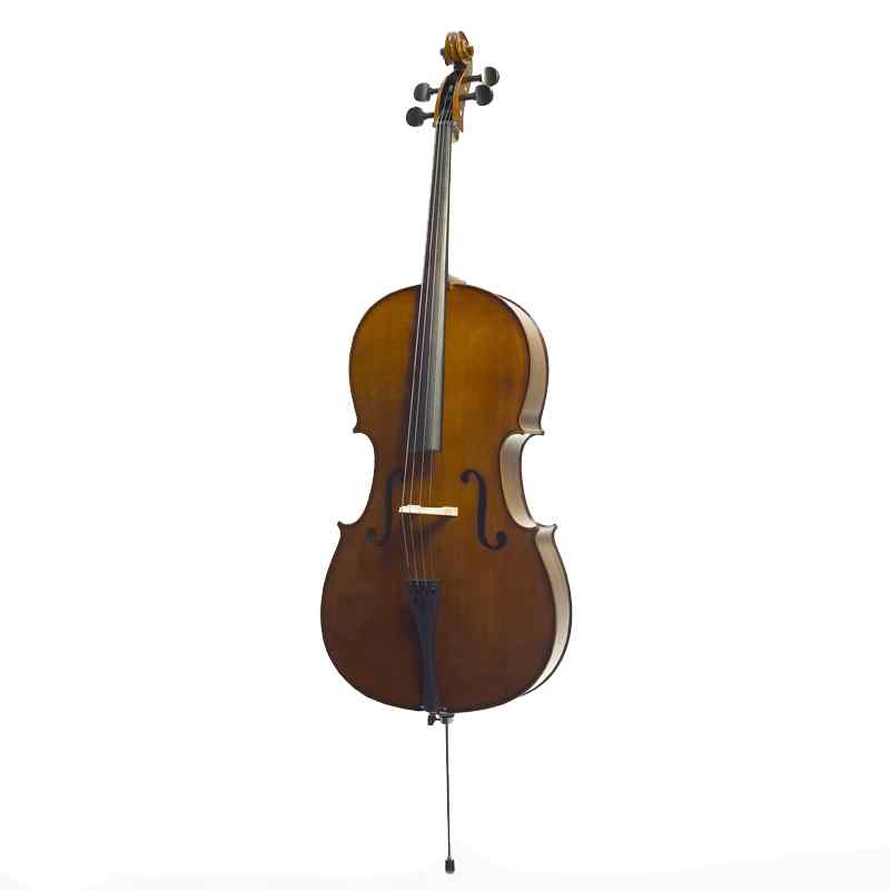 Stentor Student II cello outfit