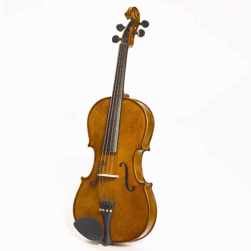 Stentor Student II viola outfit