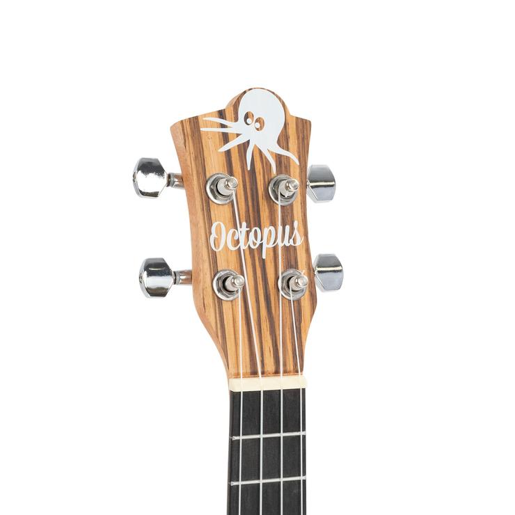 Octopus Zebrawood Concert Ukulele