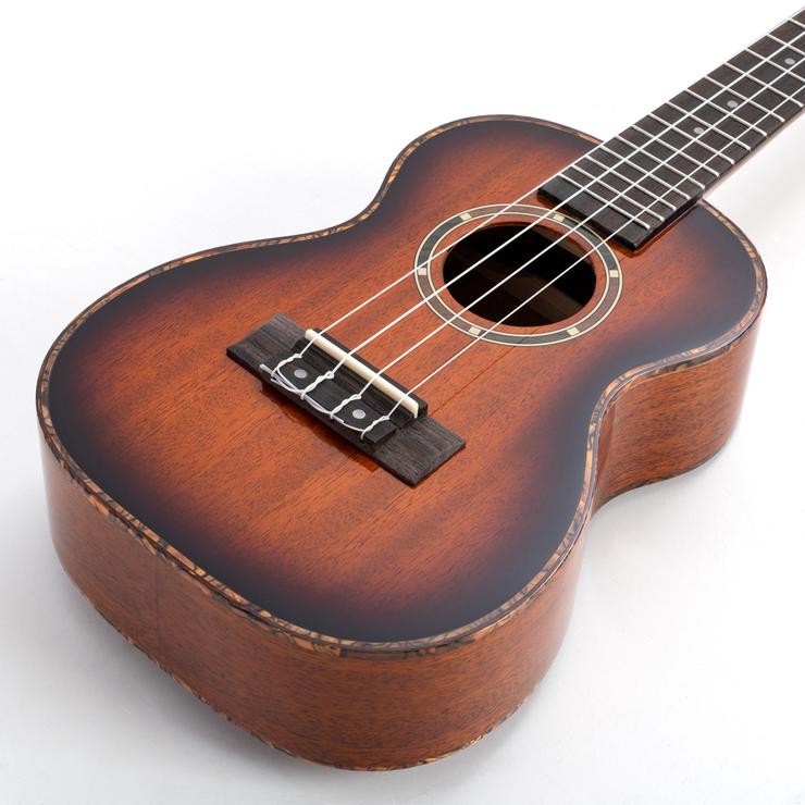 Octopus Mahogany concert ukulele in gloss finish