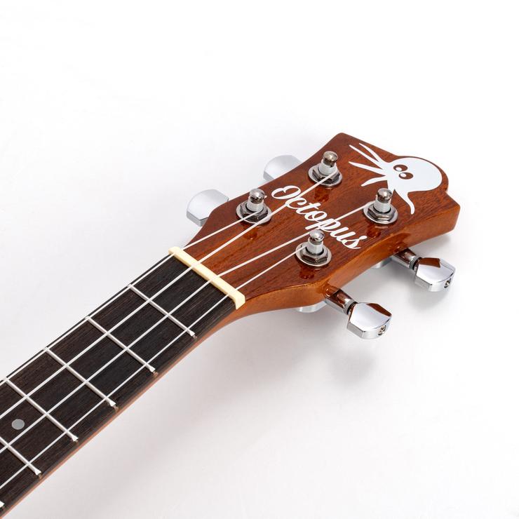 Octopus Mahogany concert ukulele in gloss finish