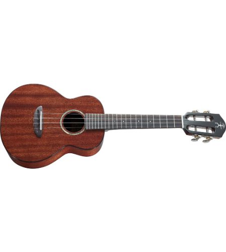 aNueNue AMM2 AFRICA MAHOGANY II CONCERT UKULELE