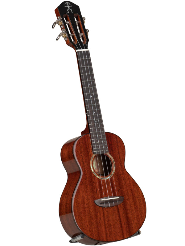 aNueNue AMM2 AFRICA MAHOGANY II CONCERT UKULELE