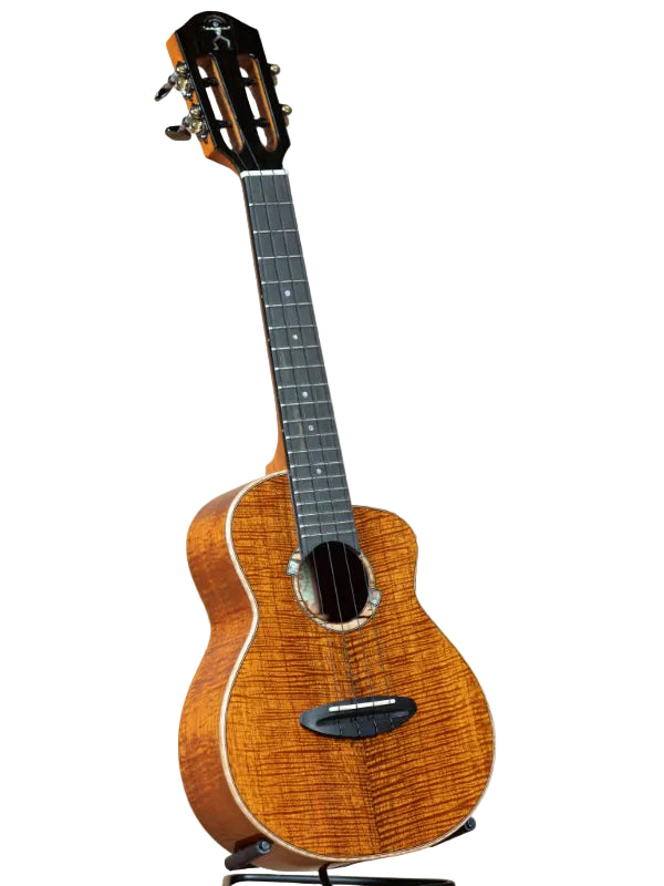aNueNue  BIRD UC5K CONCERT UKULELE