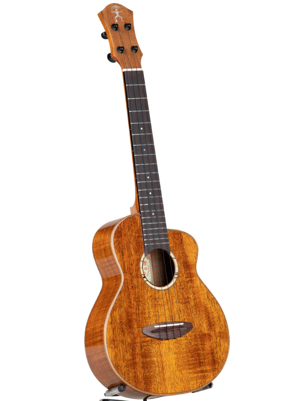 aNueNue BIRD UT 1K TENOR UKULELE