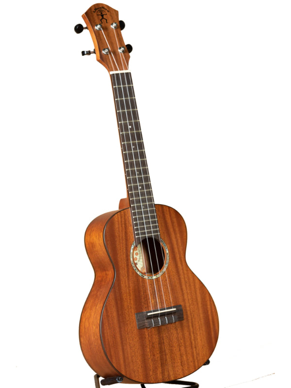 aNueNue C3 HAWAIIAN DREAM C3 CONCERT UKULELE