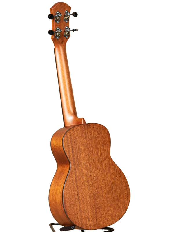 aNueNue C3 HAWAIIAN DREAM C3 CONCERT UKULELE