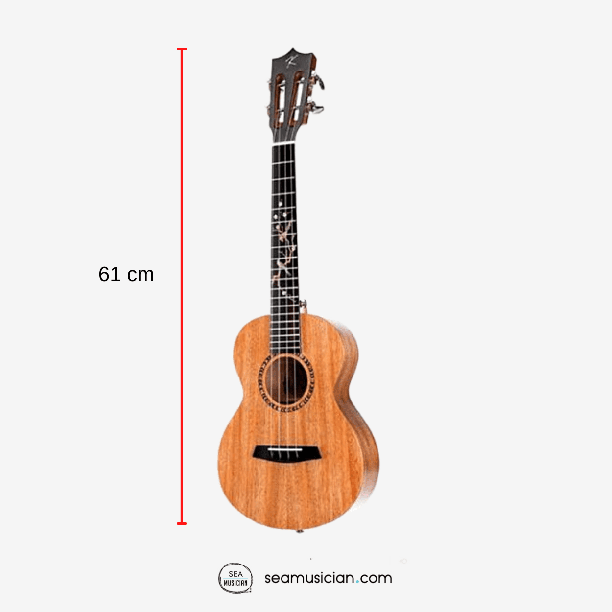 KAKA KUC30D 23INCH CONCERT UKULELE AFRICAN MAHOGANY SOLID TOP WITH BAG