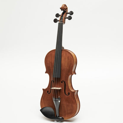Stentor Arcadia Violin Outfit (1880OFTA)