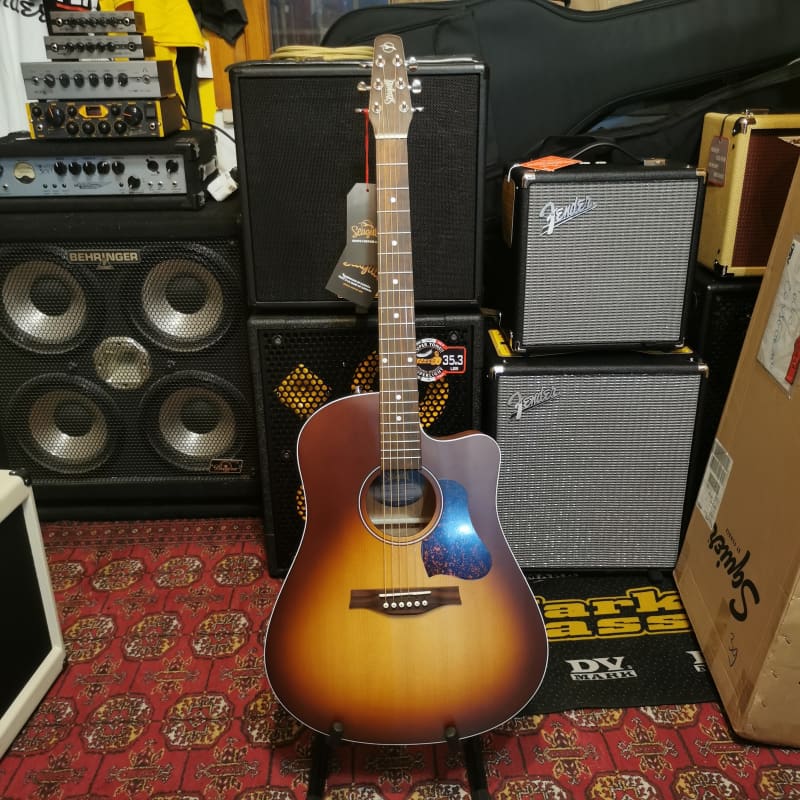 Enya EGA-Q1M EQ Sunburst Electro-Acoustic Guitar