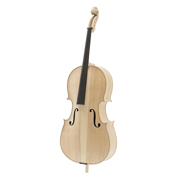 Cello in the white