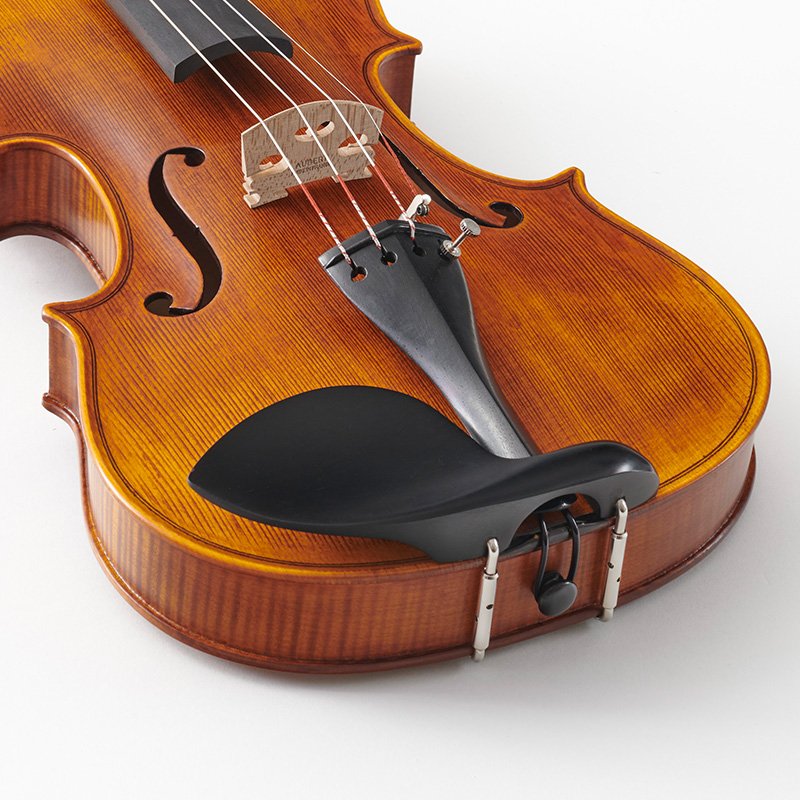 Stentor Arcadia Violin Outfit (1880OFTA)