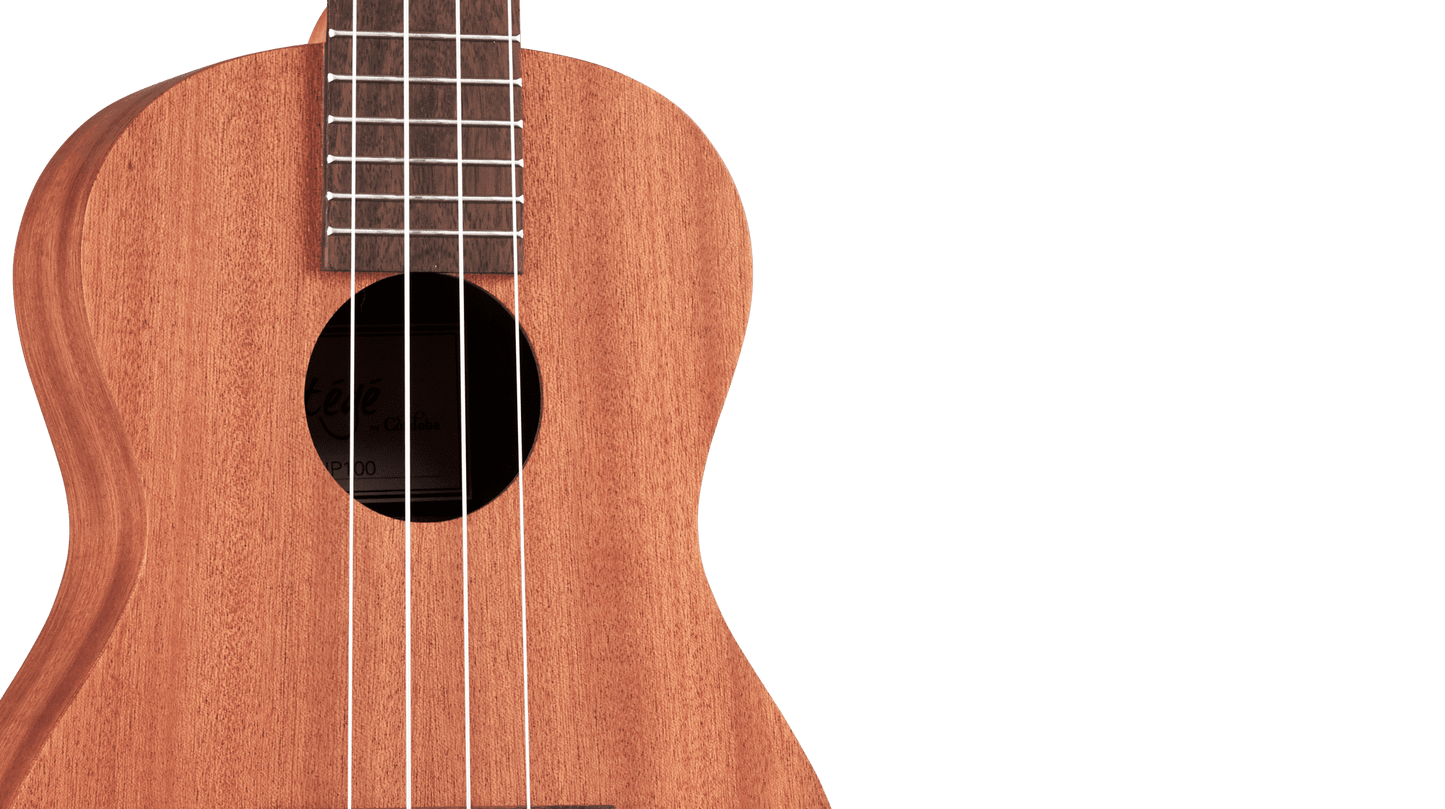 Cordoba UP100 Concert Ukulele Pack (includes gig bag, tuner, picks, and chord book)