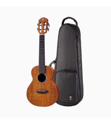 eNueNue AKK2E HAWAIIAN KOA II CONCERT ELECTRO UKULELE