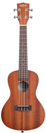 Adult Beginner Ukulele
