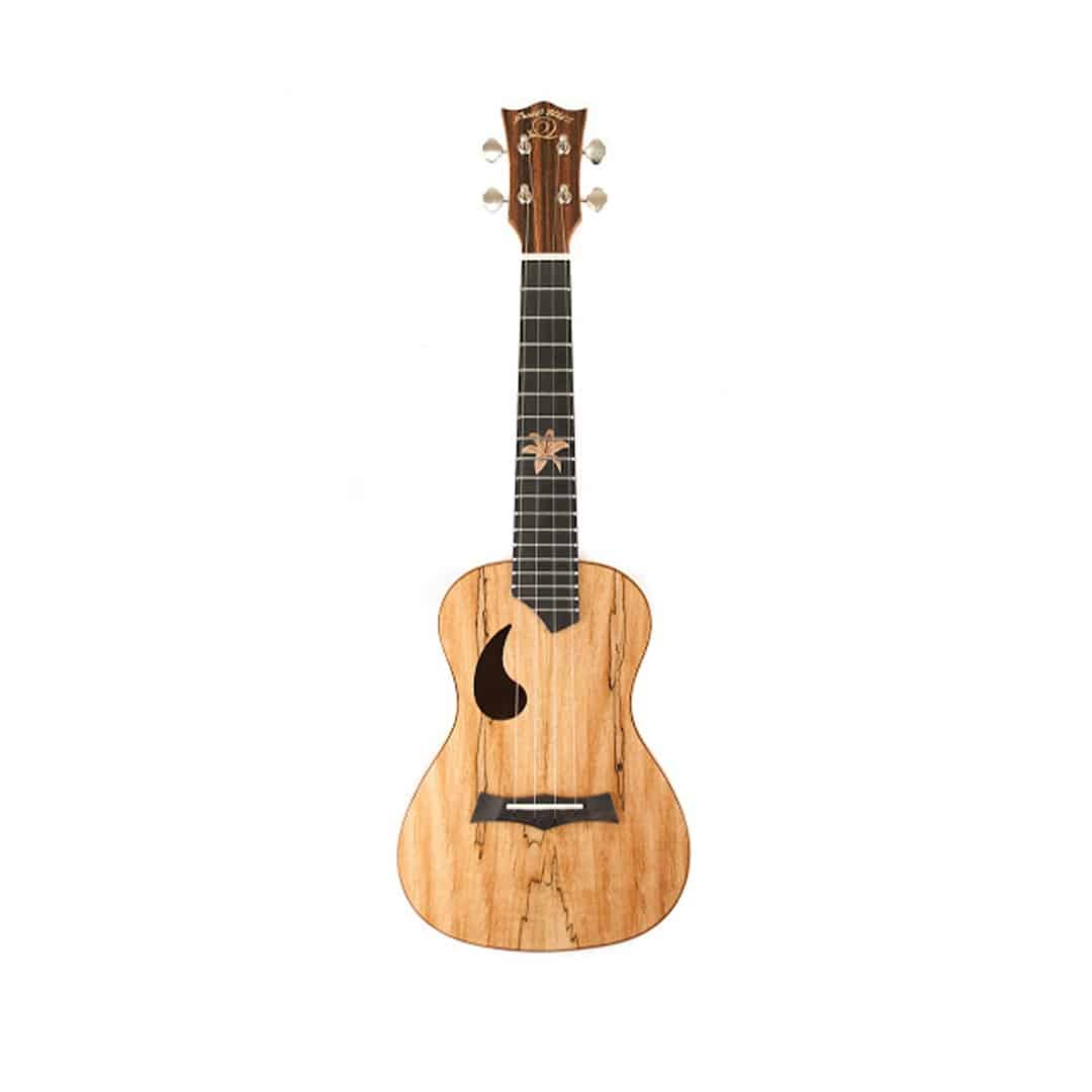 Snail BH-2C Mango Concert Ukulele